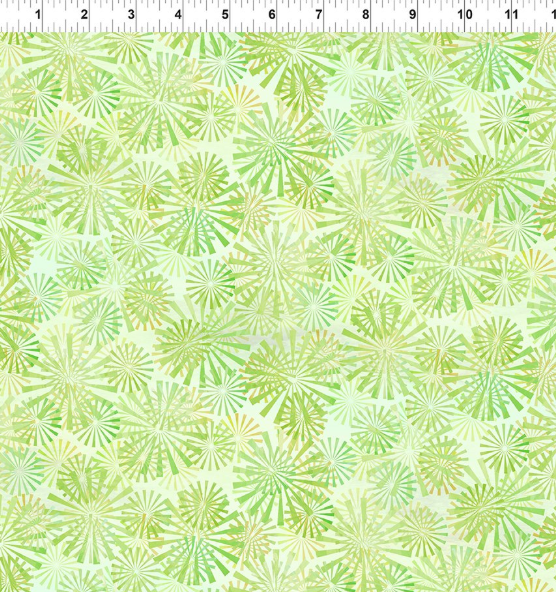 Jason Yenter - Felicity 5FEL-2 Green Rays