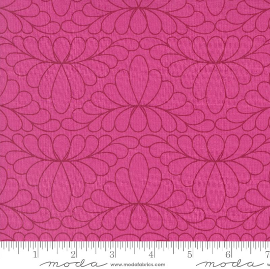 MODA - Rainbow Spice - Chrysanthemum - 14