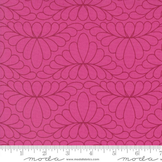 MODA - Rainbow Spice - Chrysanthemum - 14