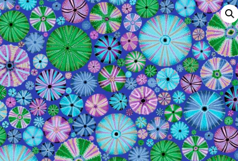 Kaffe Fassett - Urchin - Blue