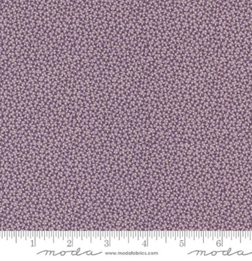 Fabric~ MODA - Goodnight Irene - M31707 12