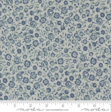 Fabric~ French General - Sacre Bleu - 15