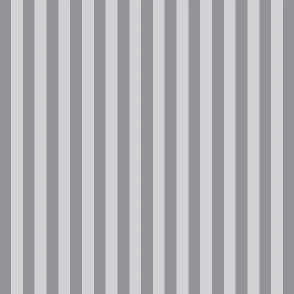Tula Pink~ Graywork 'Tent Stripe' (Fog)