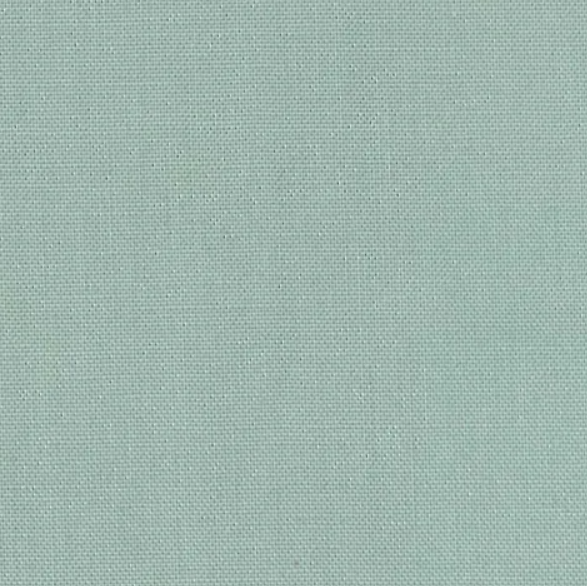 Fabric ~ Devonstone Solids #DV098 Swag