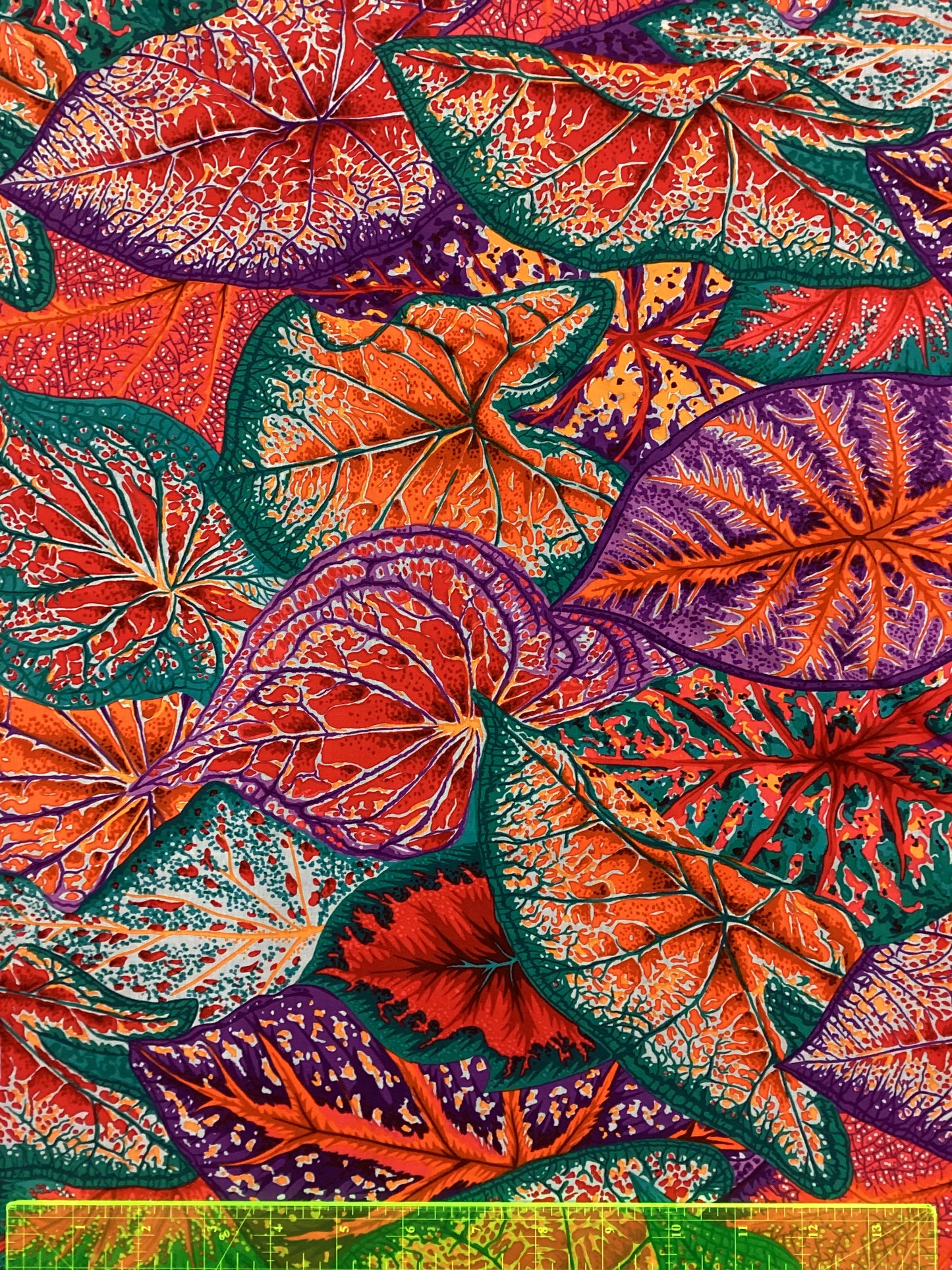 Kaffe Fassett - Caladiums Red