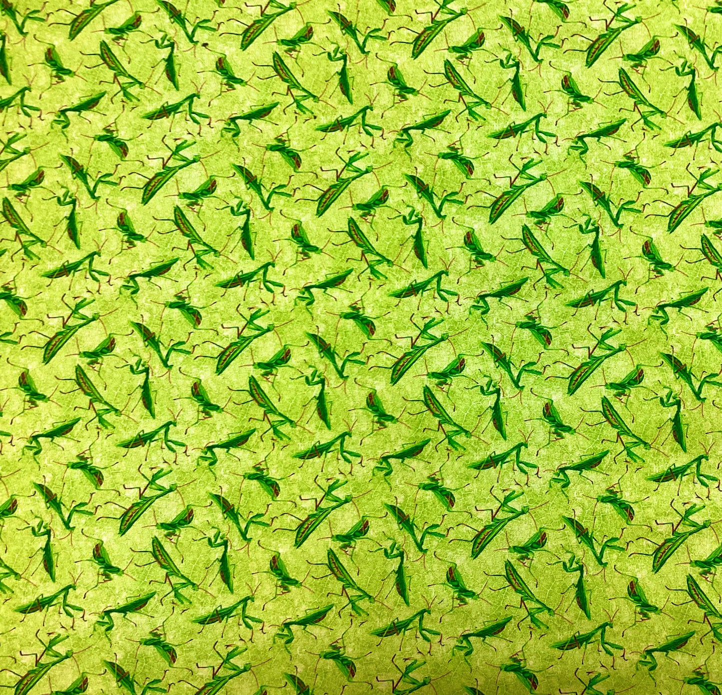 Fabric - Frolicking Fields (Praying Mantis)
