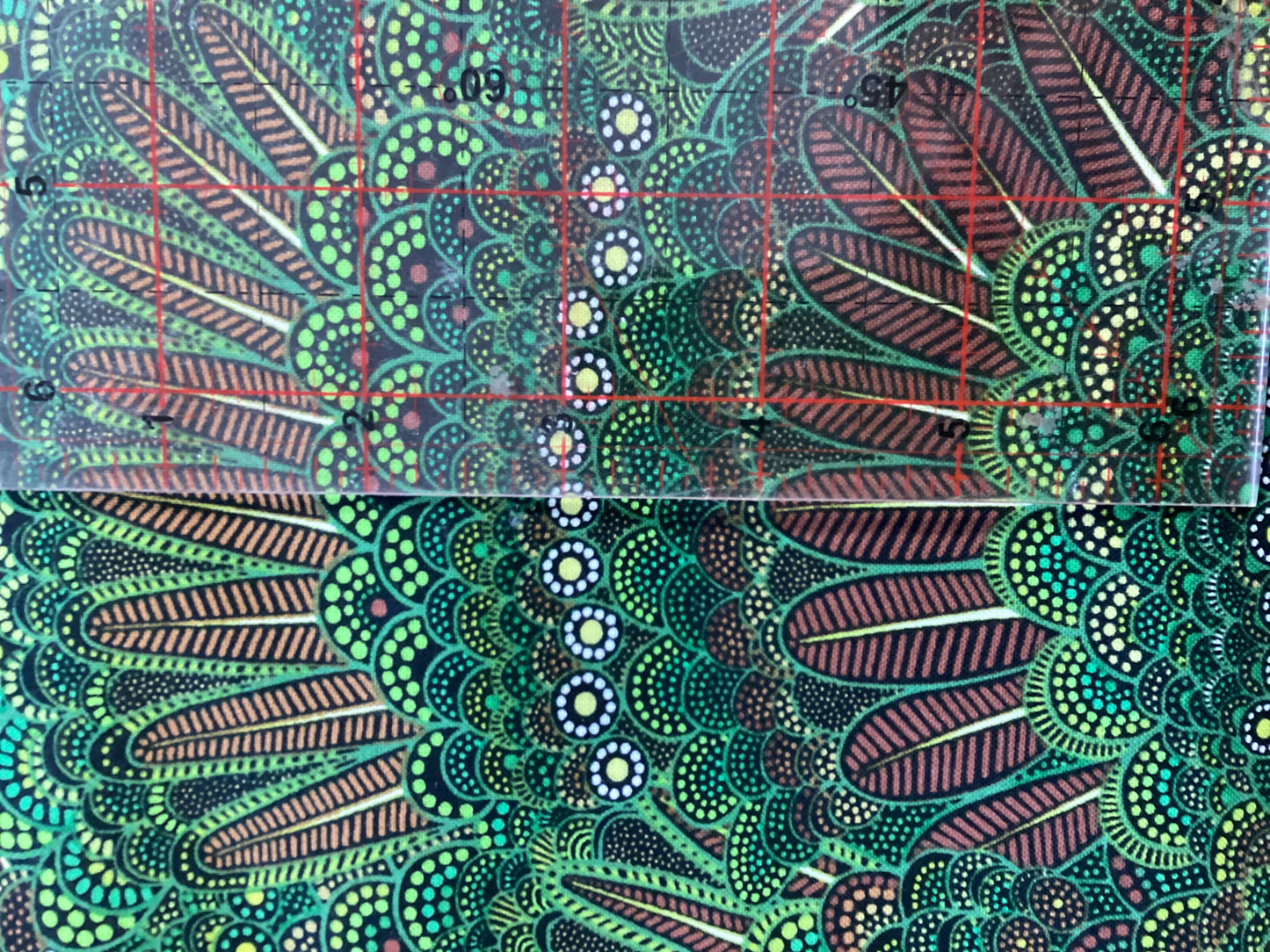 Goanna Walkabout - Turkey (Green)