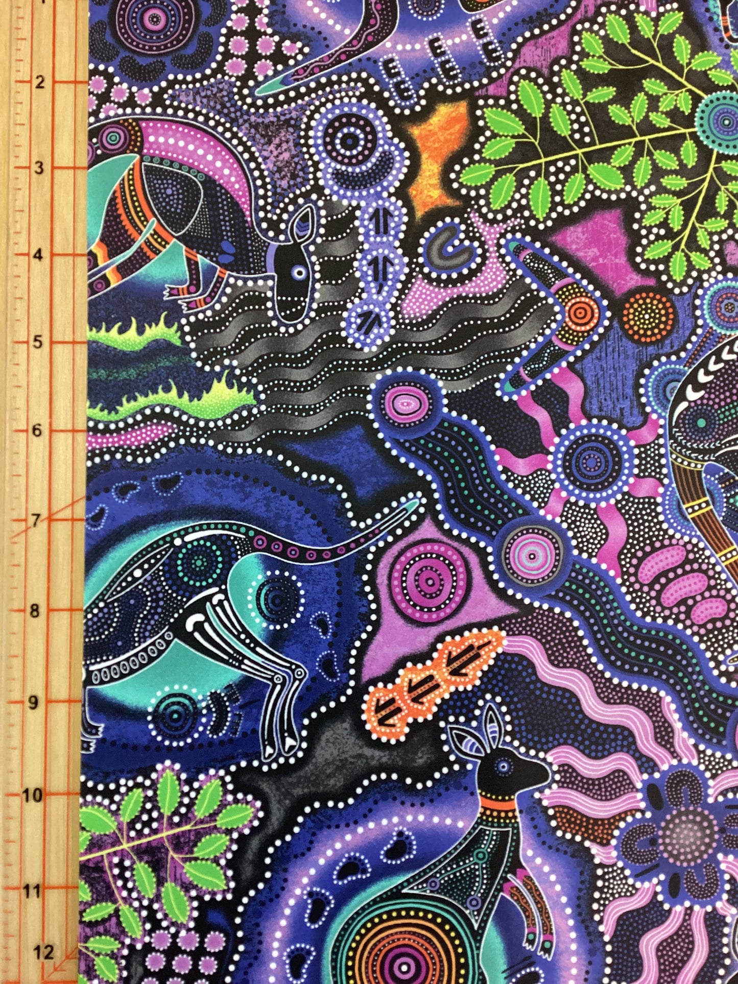 Goanna Walkabout - WalkAbout II #14351