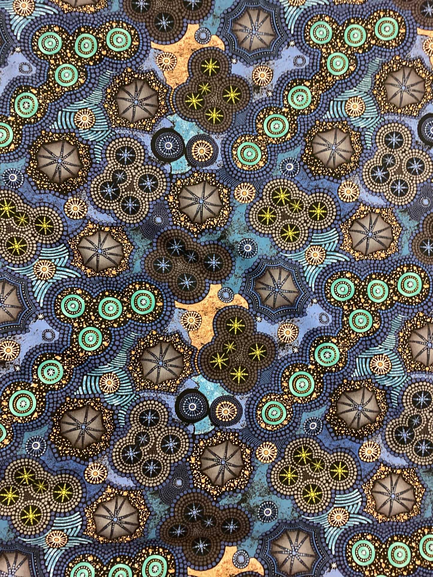 Half Price - Goanna Walkabout - WalkAbout II #1436