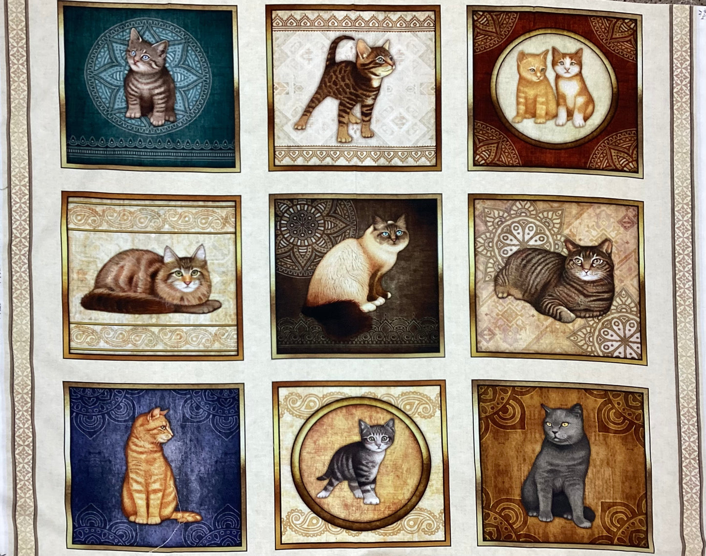 PANEL - Cats