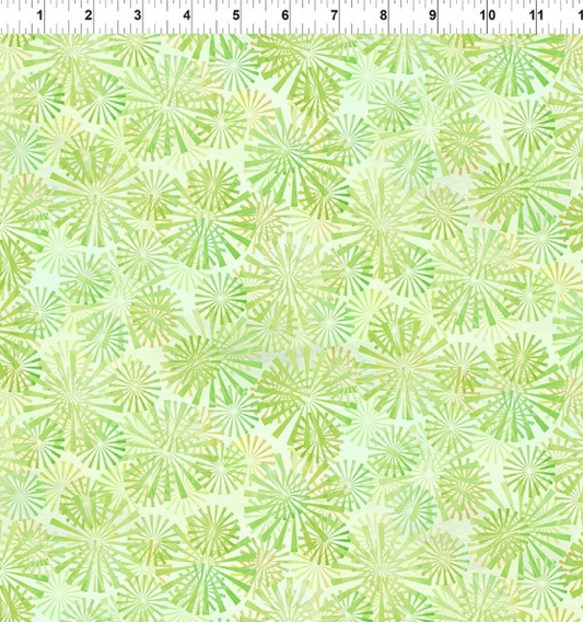 Jason Yenter - Felicity 5FEL-2 Green Rays