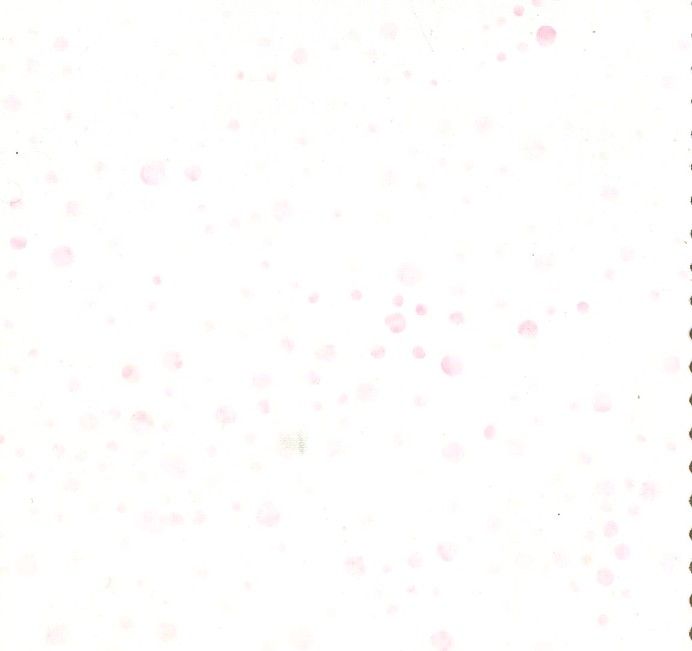 Fabric - Batik Galaxy - BA-2235