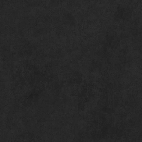 Shadow Play - J5 - Black Beauty