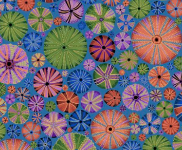 Kaffe Fassett - Urchin - Dark