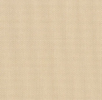 Fabric~ Devonstone Solids #DV146 Dune