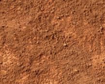 Fabric - Throttle Thrills - 4081H - Dirt Road
