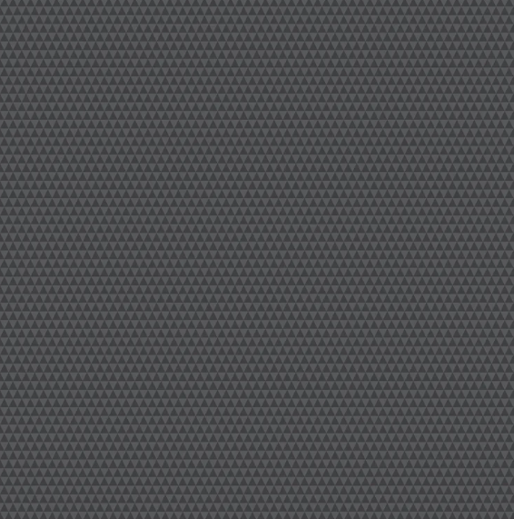 Tula Pink~ Graywork 'Kinda Shady' (Carbon)