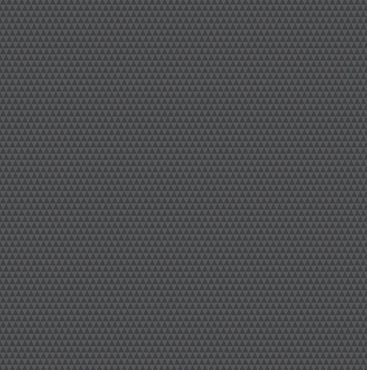 Tula Pink~ Graywork 'Kinda Shady' (Carbon)