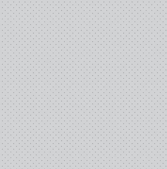 Tula Pink~ Graywork 'Tiny Dots' (Fog)