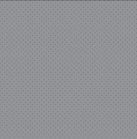 Tula Pink~ Graywork 'Tiny Dots' (Shadow)