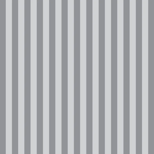 Tula Pink~ Graywork 'Tent Stripe' (Fog)