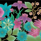 Cultural Influence - YOMU - Border Print Summer