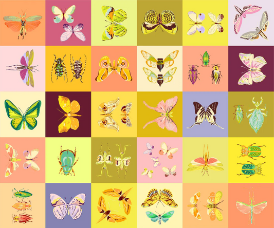 Panel ~ Insectarium - Square Dance