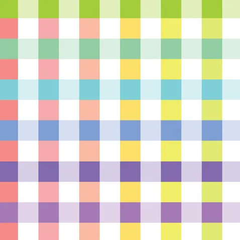 Fabric - Wideload 108" Rainbow Check White