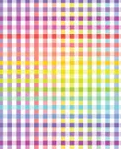 Fabric - Wideload 108" Rainbow Check White