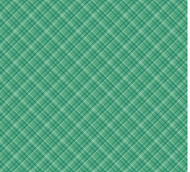 Berry & Sage by Lori Holt - Plaid Alpine - C17393