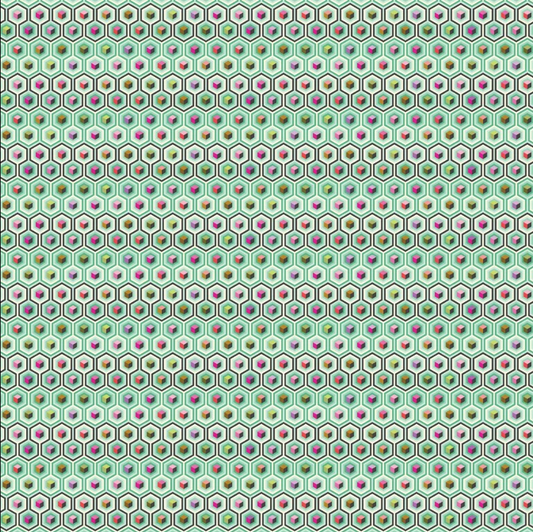 Tula Pink ~ Prince Charming Deja Vu - Hex Box Sweet Mint